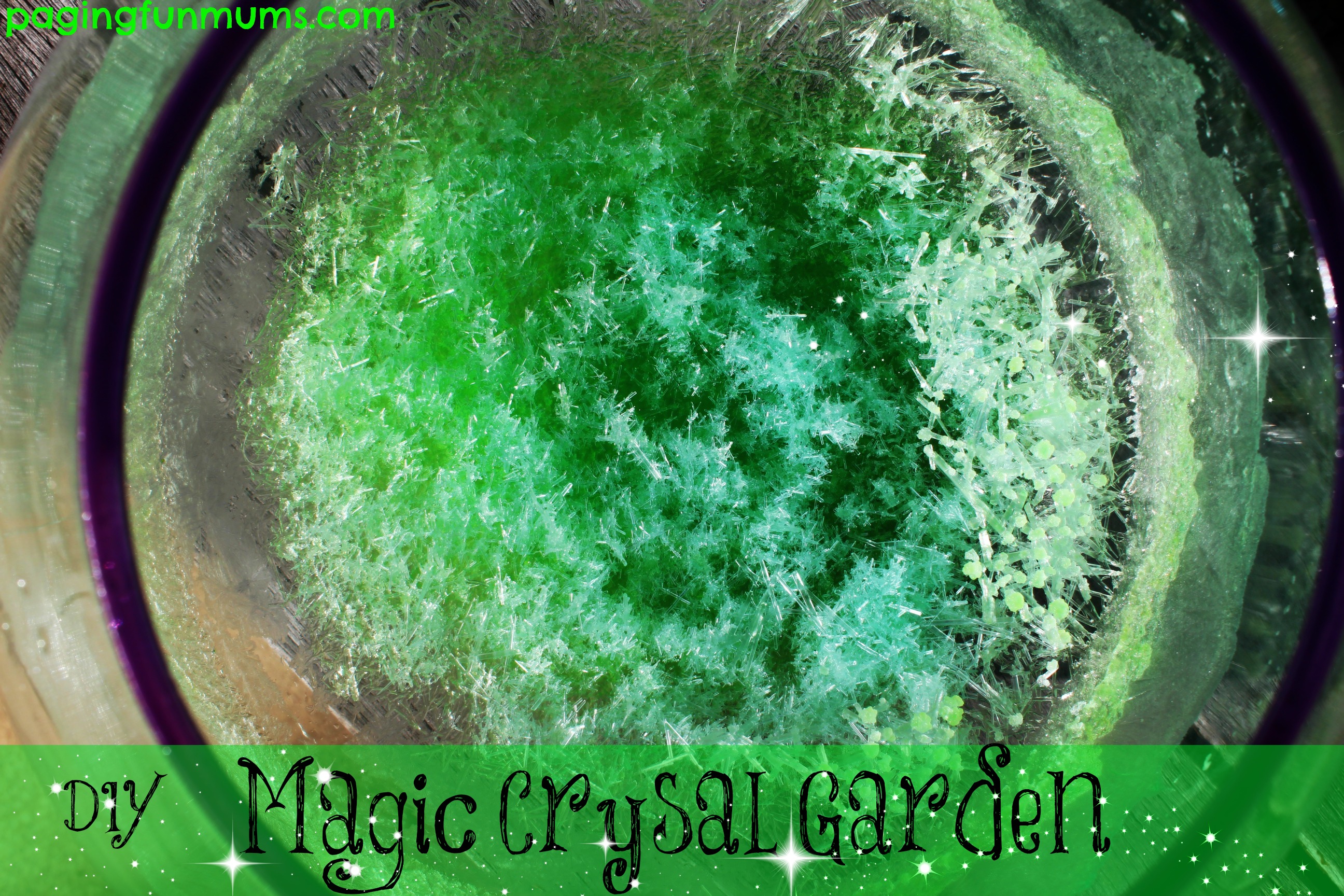Diy Magic Crystal Garden