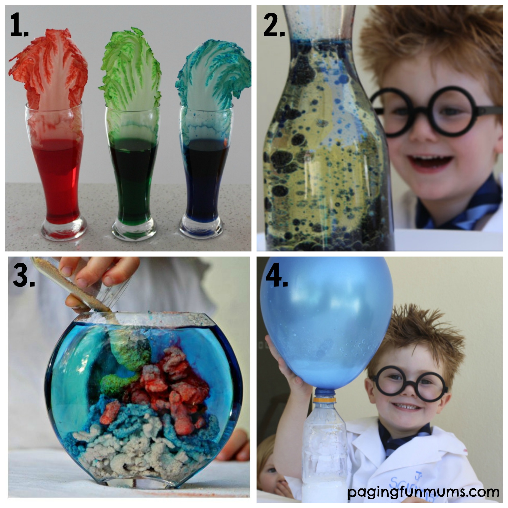 21 + Fun Science Experiments for Kids 14 Paging Fun Mums