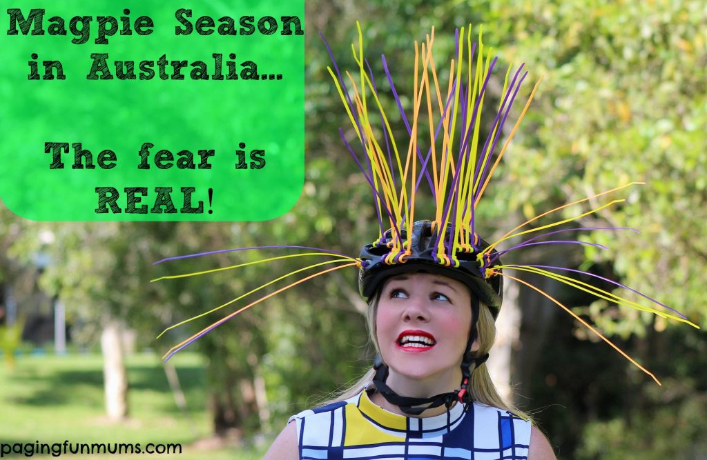 what-to-do-in-magpie-season-the-fear-is-real