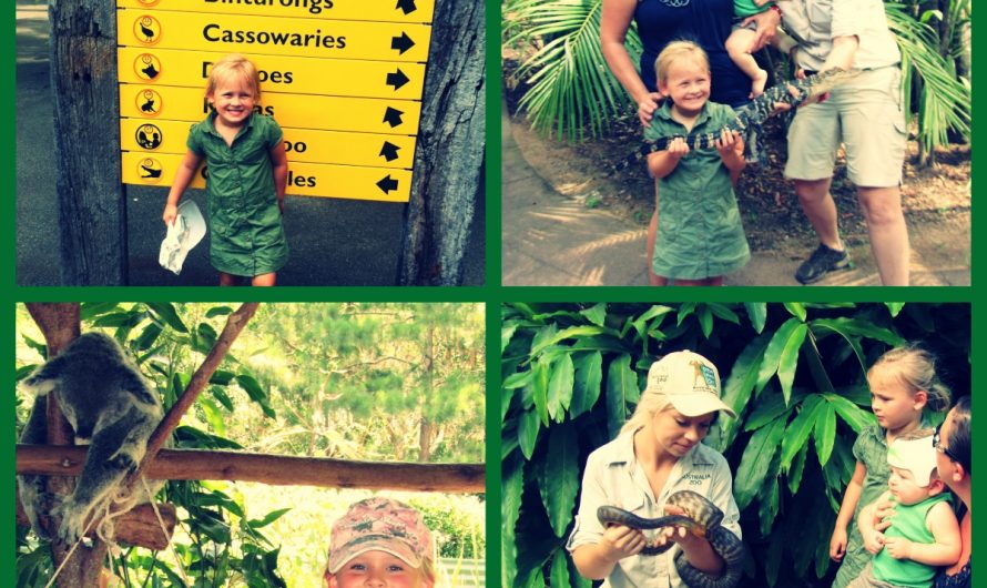 Australia Zoo Visit – (Louise)