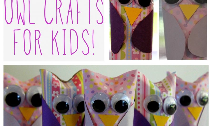 Toilet Paper Roll Owls…such a Hoot