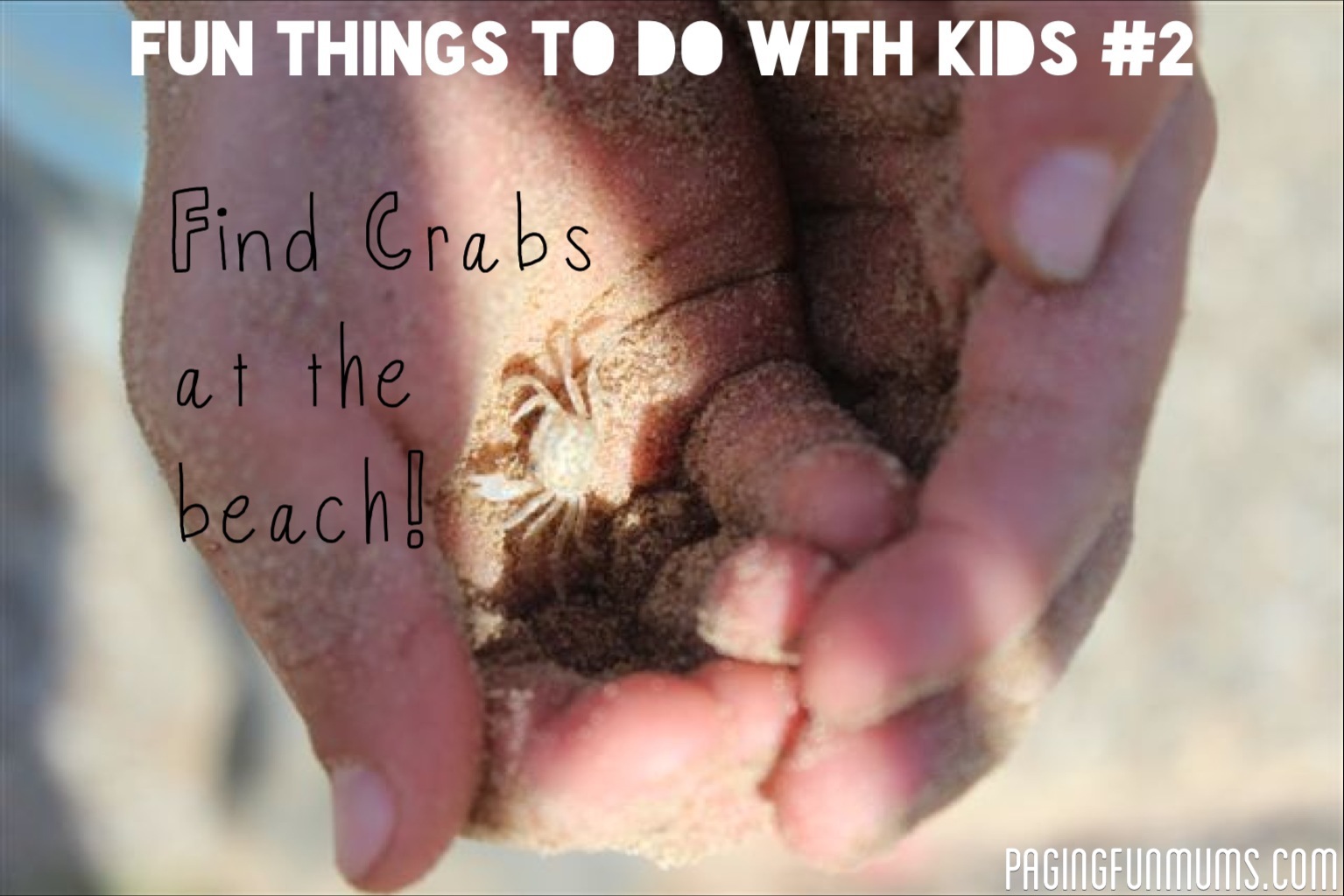 Find Crabs at the Beach!