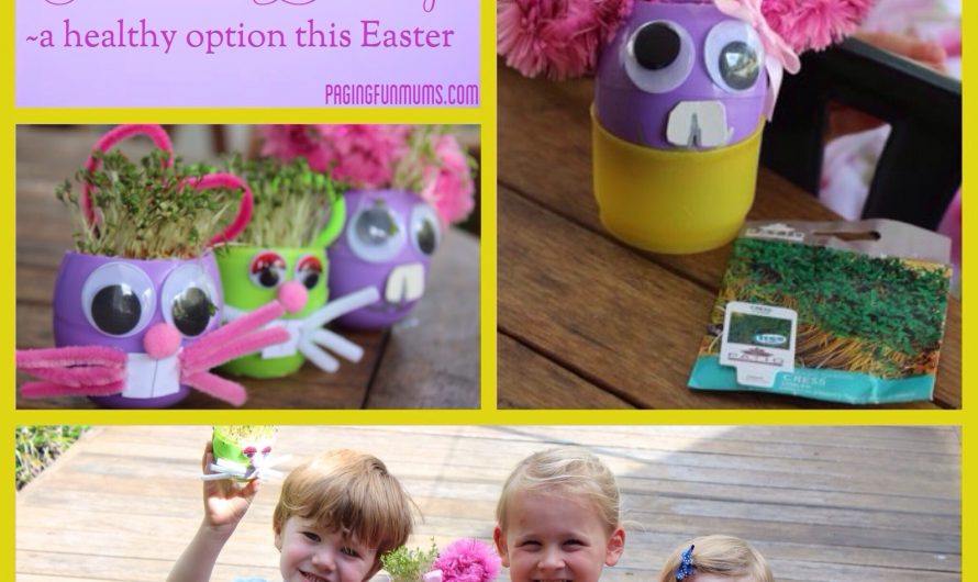 Cress Head Easter Bunny – (Louise)