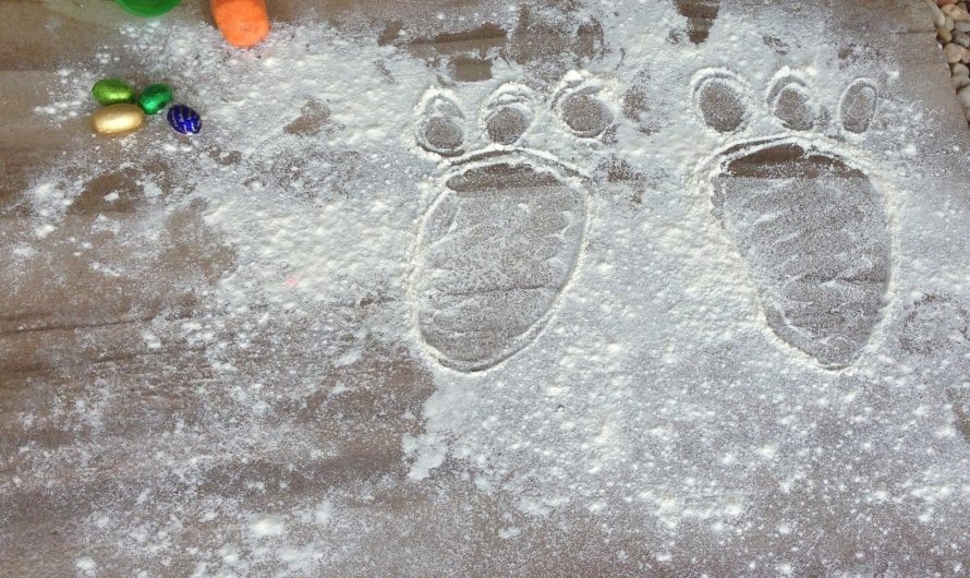 Easter Bunny Footprints…how to make a magical surprise for your kids!