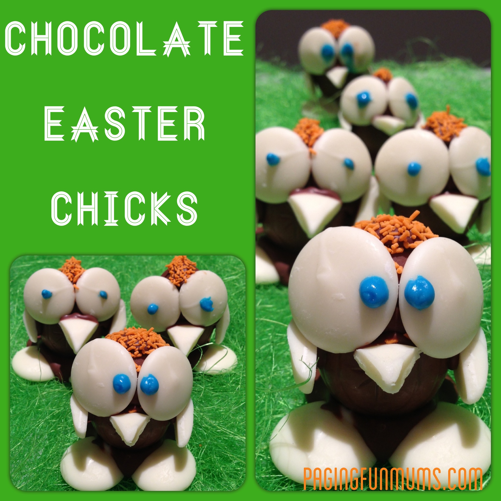 Chocolate Easter Chicks