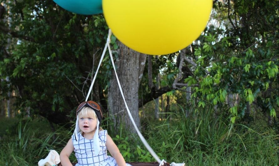 DIY Hot Air Balloon Photo Prop – (Louise)