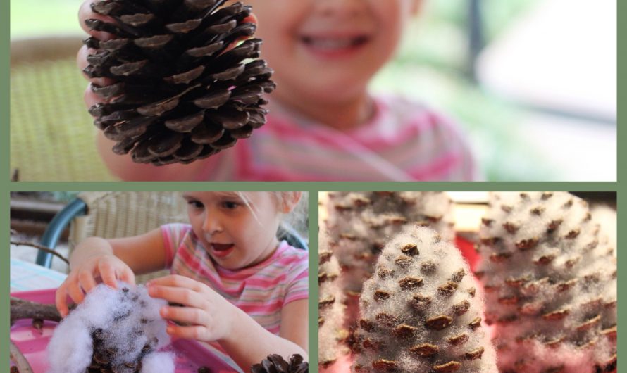 Whootastic Pinecone Owls