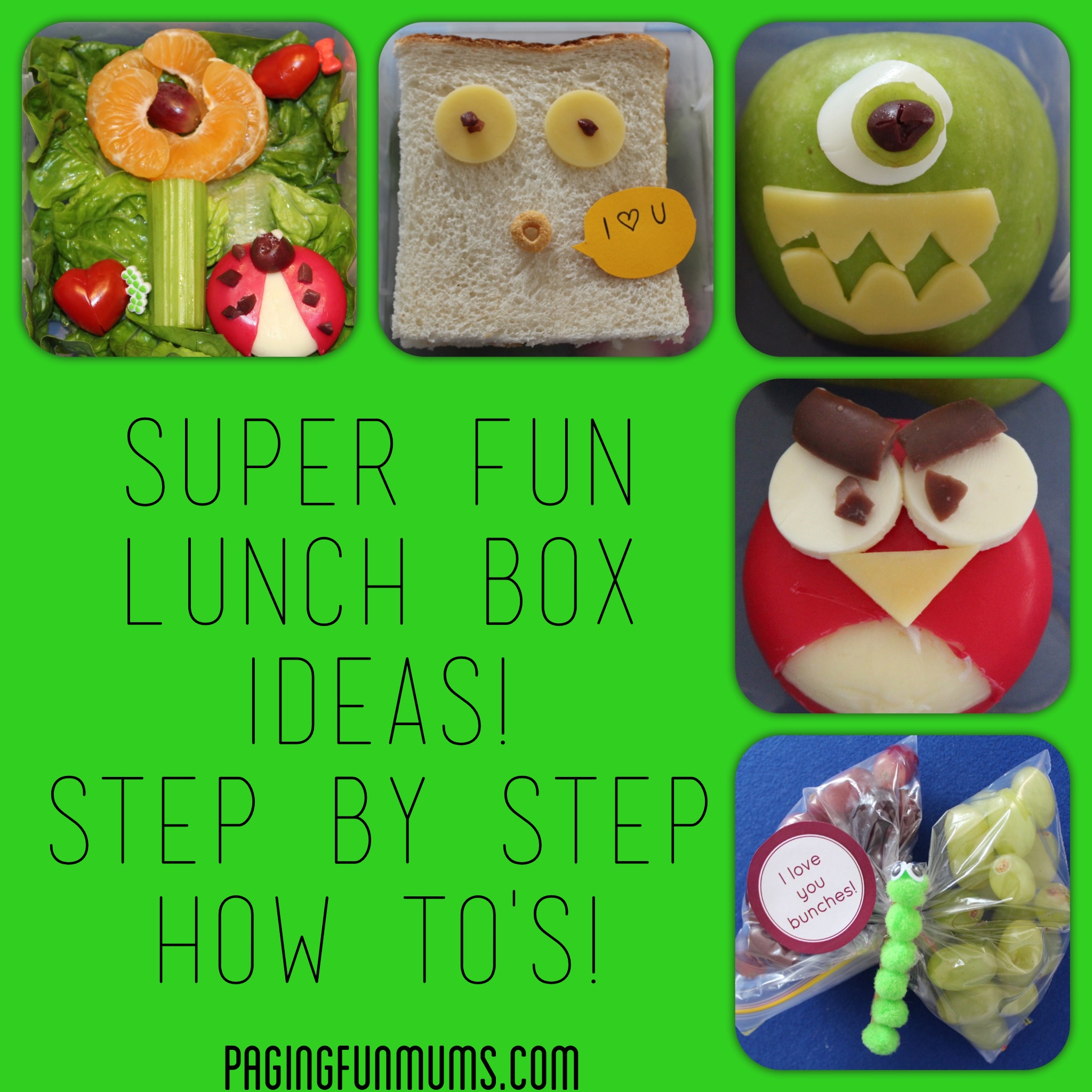 Super Fun Lunch Box Ideas