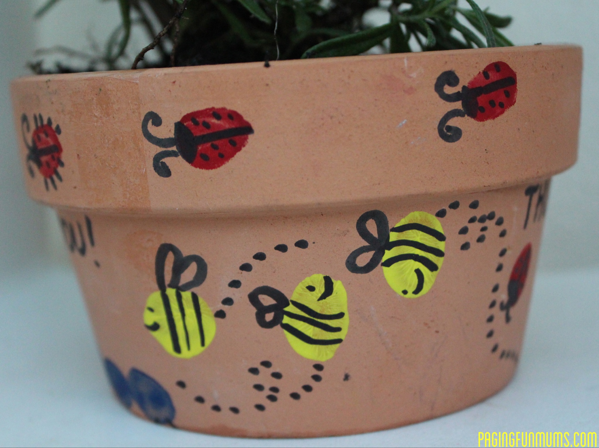 Kids Thumb Print Flower Pot!
