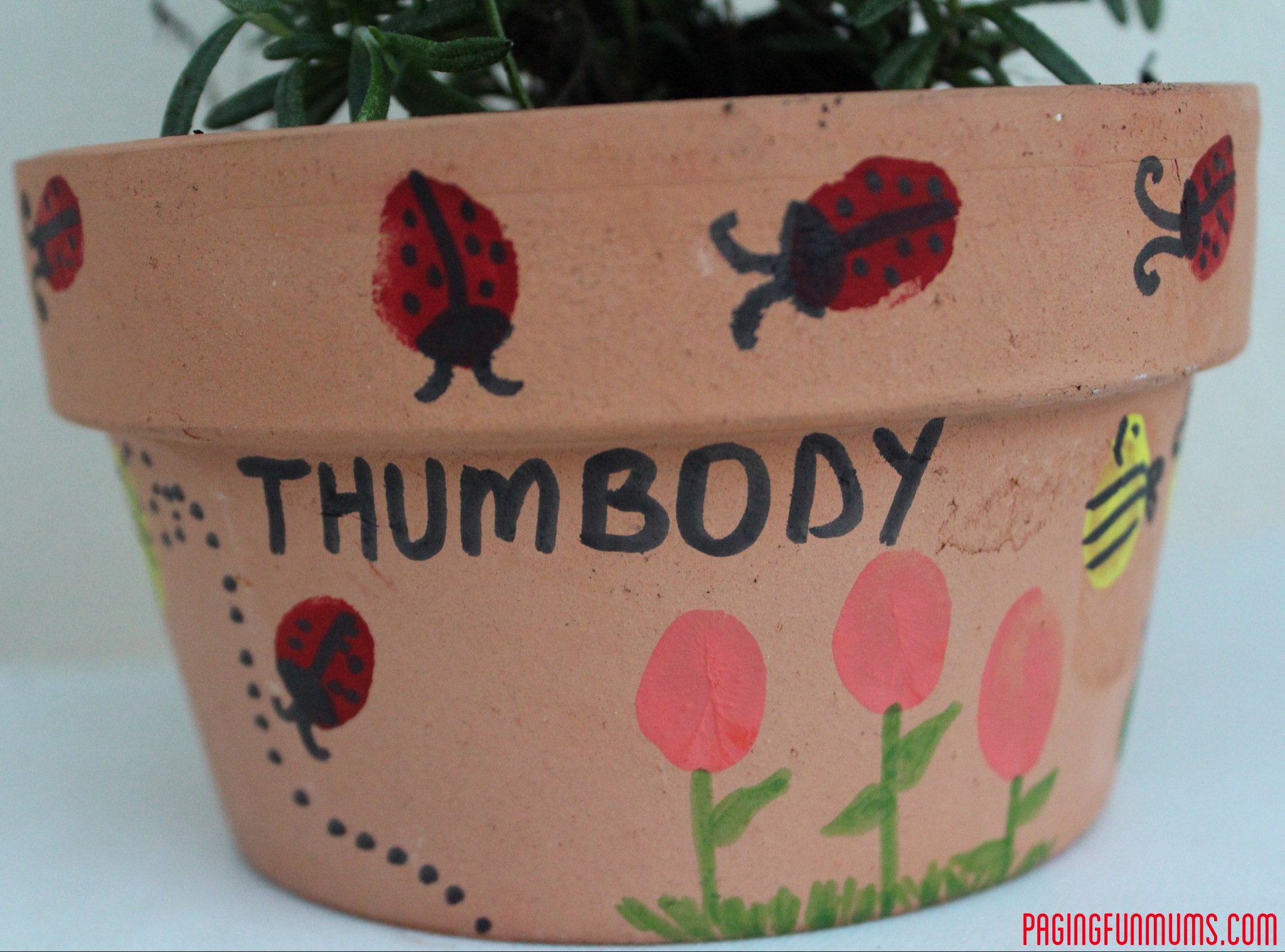 Kids Thumb Print Flower Pot!