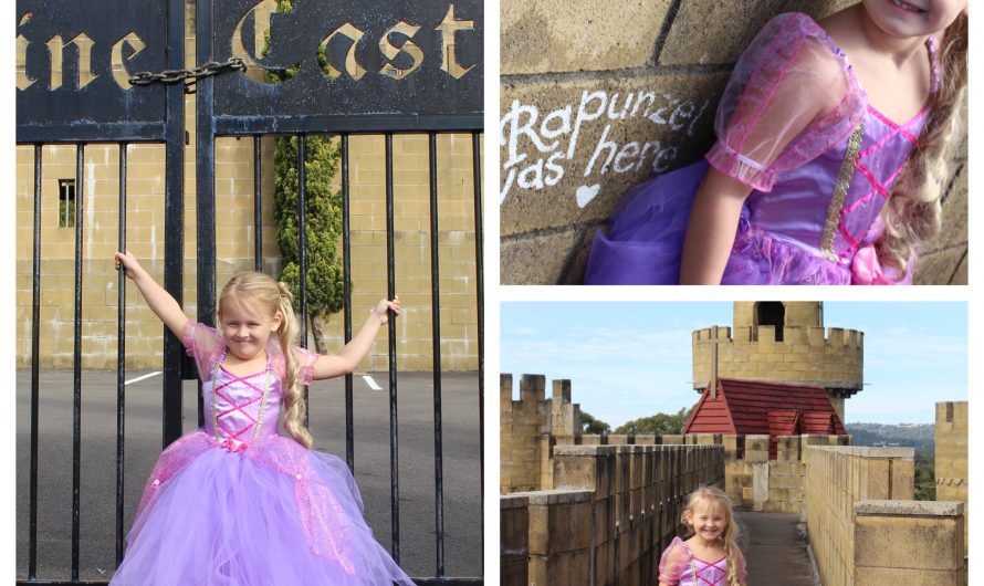 Take your Daughter’s Favourite Princess Dress to the next level!