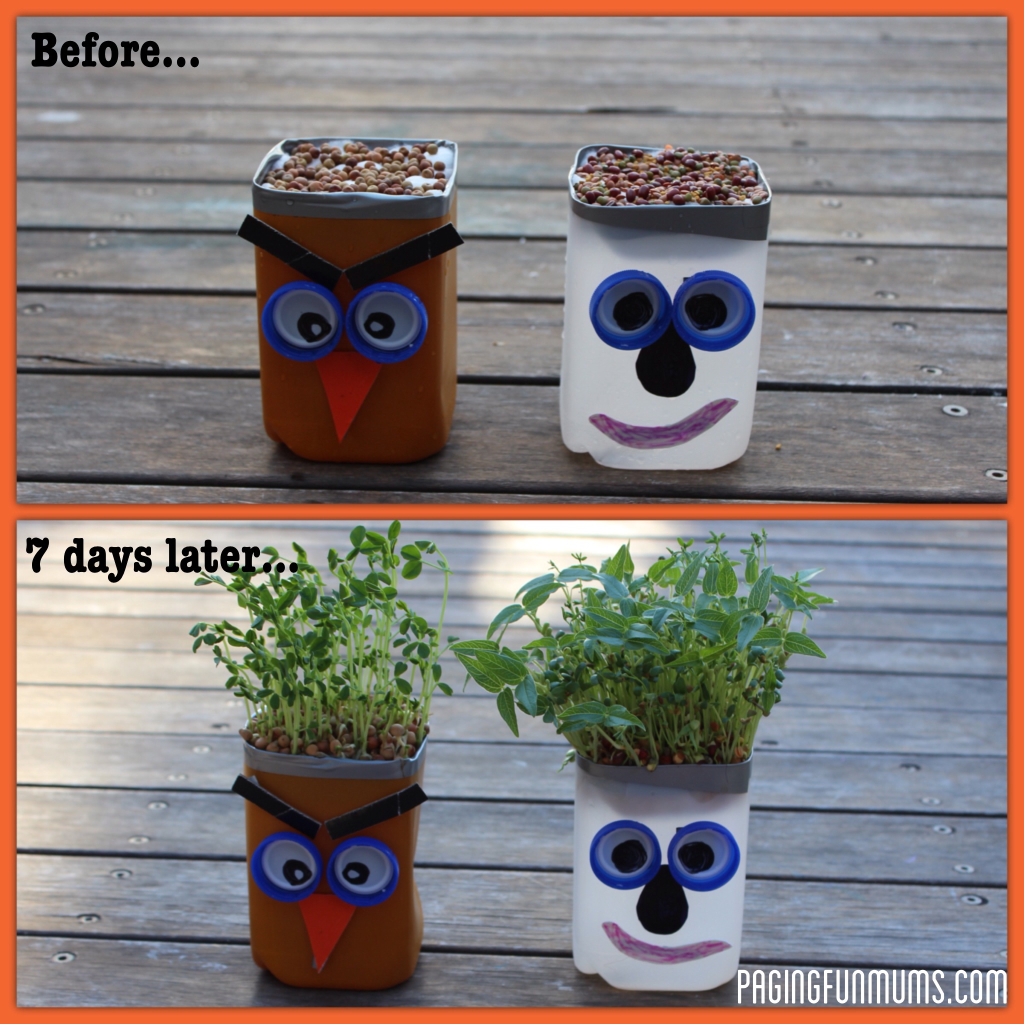 Spout Buddies - Using recycled Milk Jugs