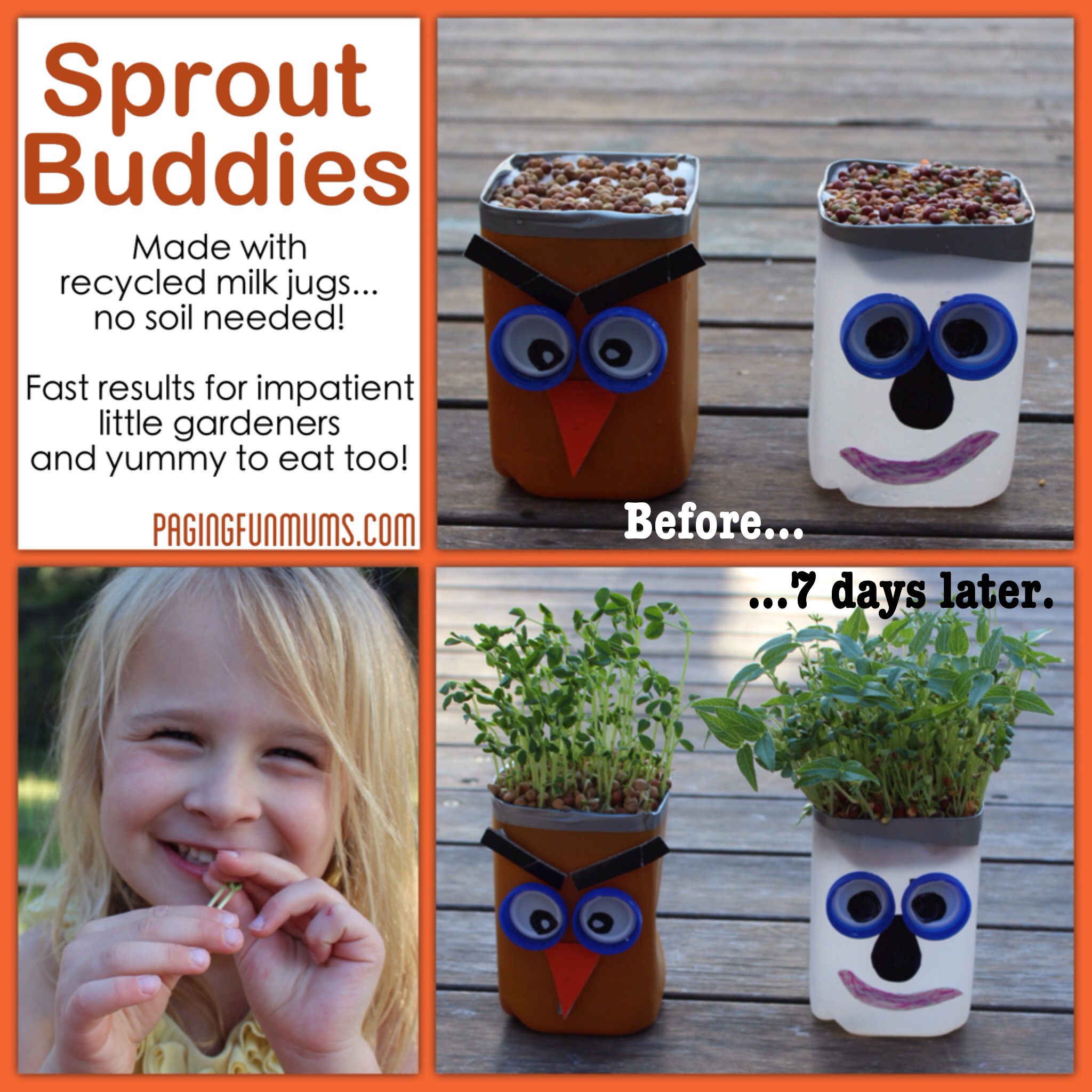 Spout Buddies - Using recycled Milk Jugs