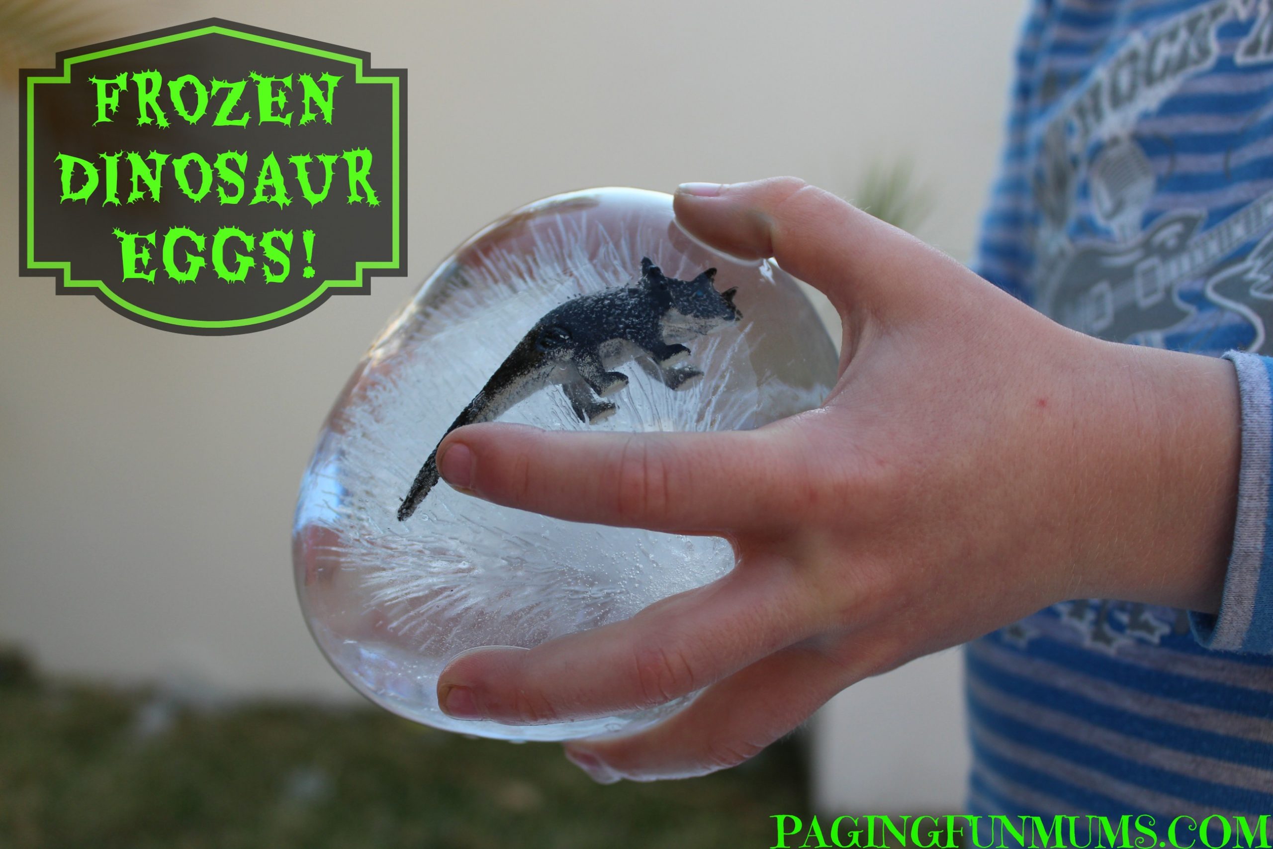 dinosaur frozen eggs