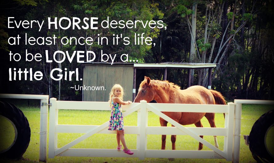 Every horse deserves, at least once in it’s life, to be loved by a little girl.
