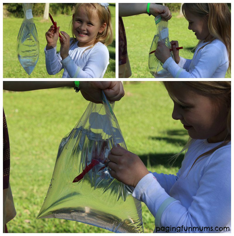 Leak Proof Bag Kid's Science Experiment