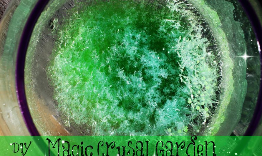 DIY Magic Crystal Garden!