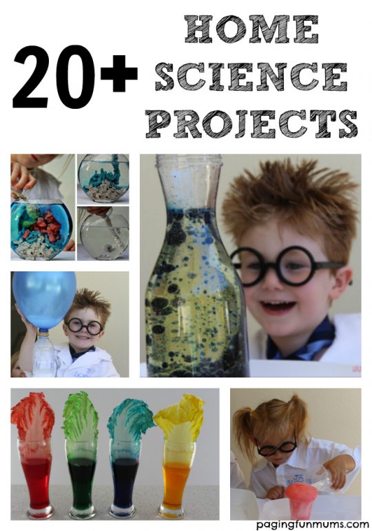 20 + Home Science Projects for Kids