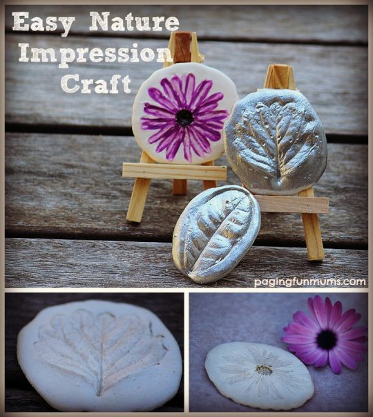 Easy and FUN Nature Craft - Plaster Impressions