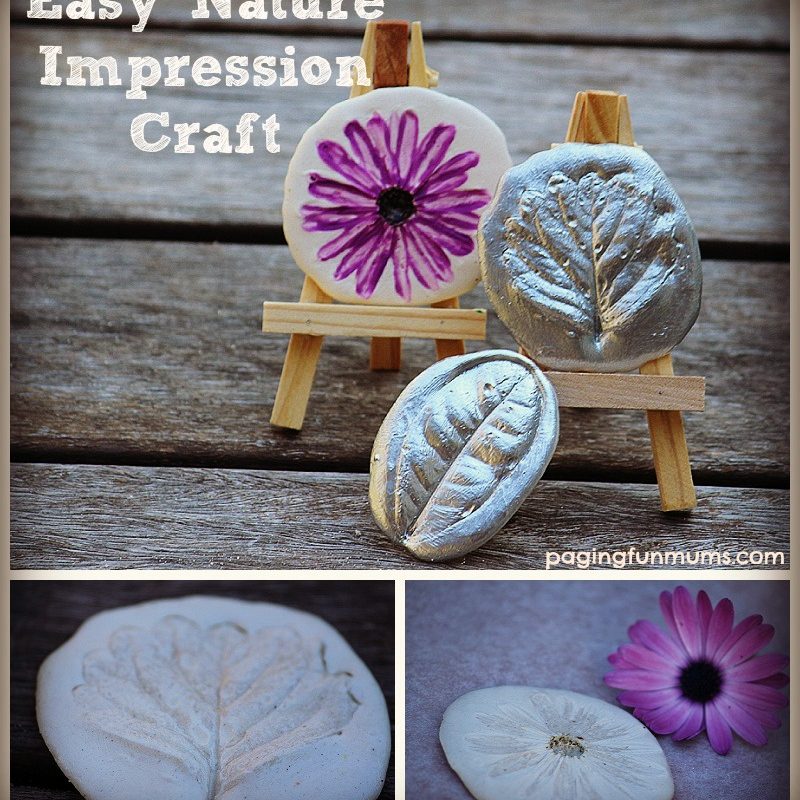 Nature Impression Craft