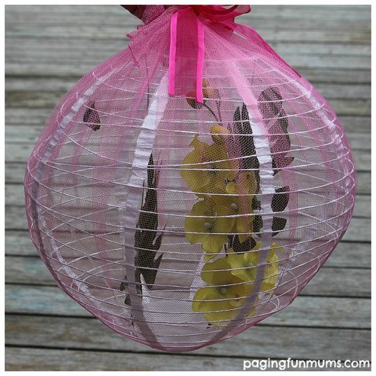 Beautiful Butterfly House - made using a paper lantern