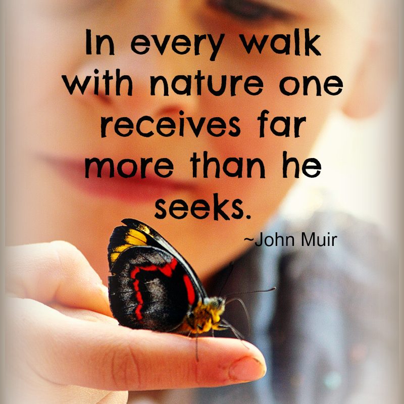 Lovely Nature Quote