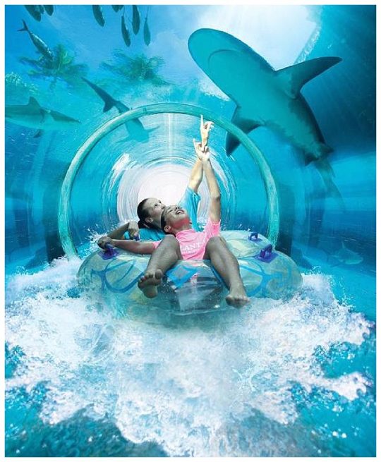 Underwater Slide at Atlantis The Palm Resort