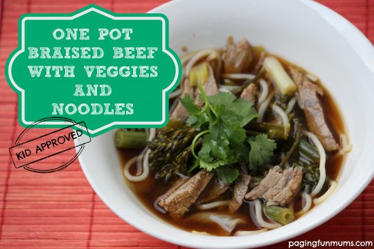 One Pot Braised Beef with Veggies and Noodles