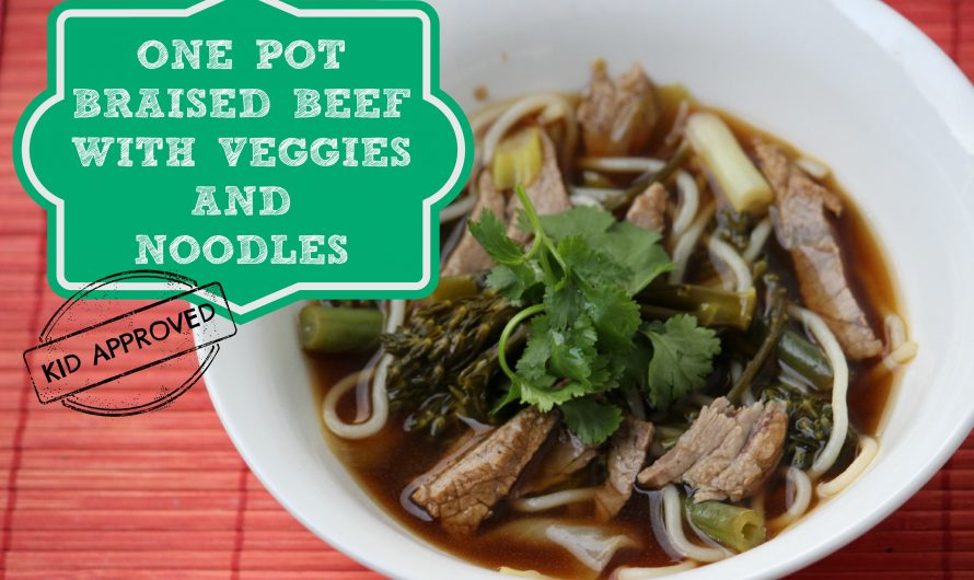 One Pot Braised Beef with Veggies and Noodles