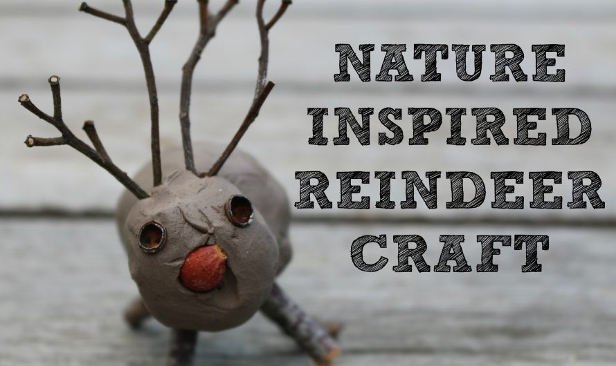 Nature Inspired Reindeer Craft