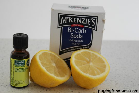Magical Itchy Bite Remedy Ingredients