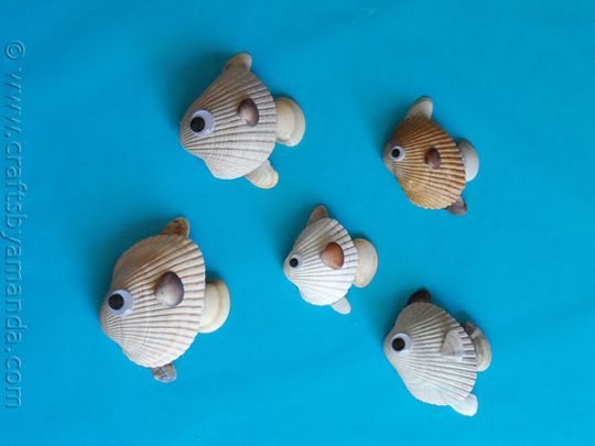 sea-shell-fish1