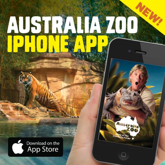 Australia Zoo's NEW Mobile App! A great way to learn about the Zoo and it's amazing animals! 