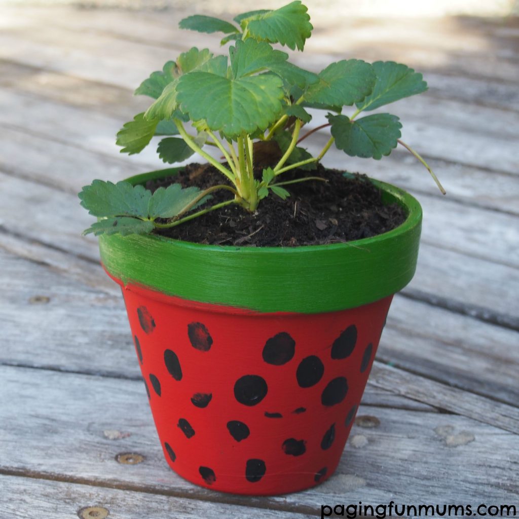 Teacher apreciation gift idea! The whole class could leave their thumprint on this pot with a nice card saying "Thank you for helping us grow!". 