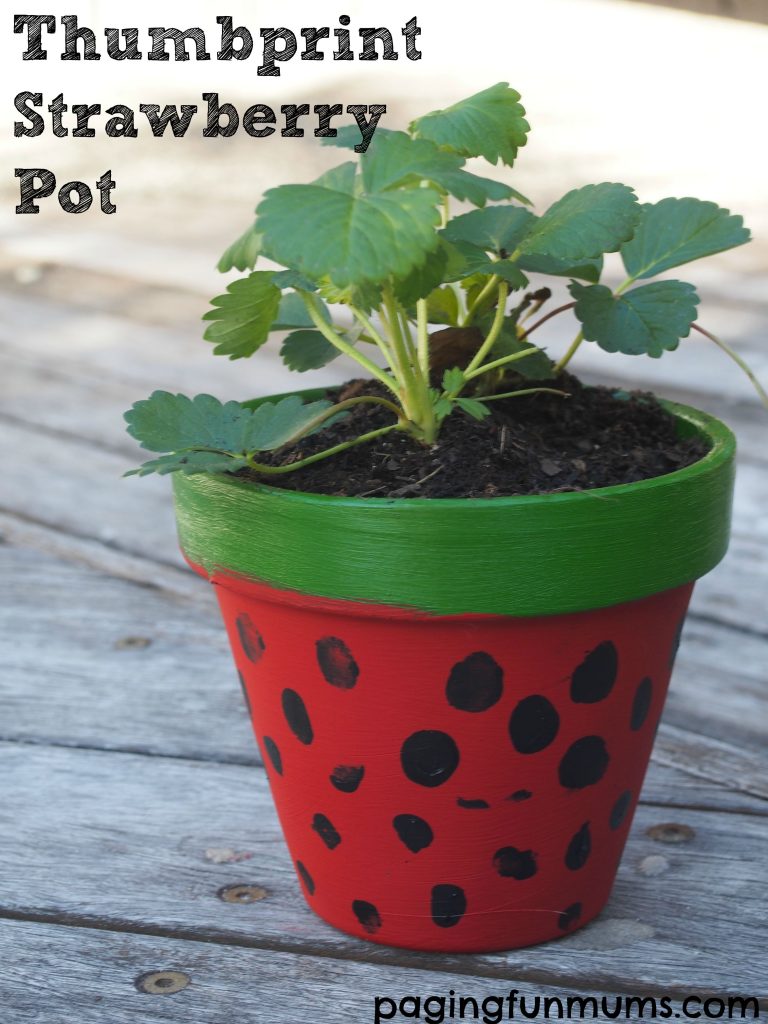 Thumbprint Strawberry Pot! A great class gift for a teacher! 
