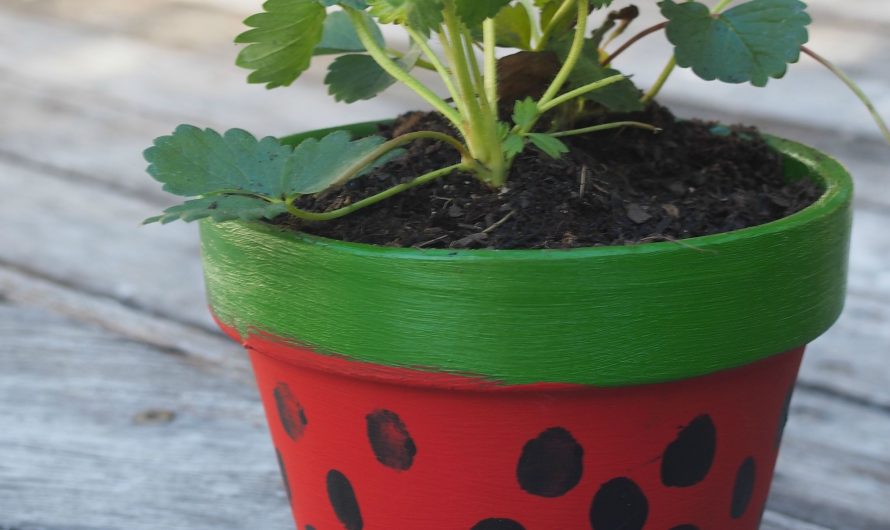 Strawberry Painted Pot – a fun gardening project for kids!