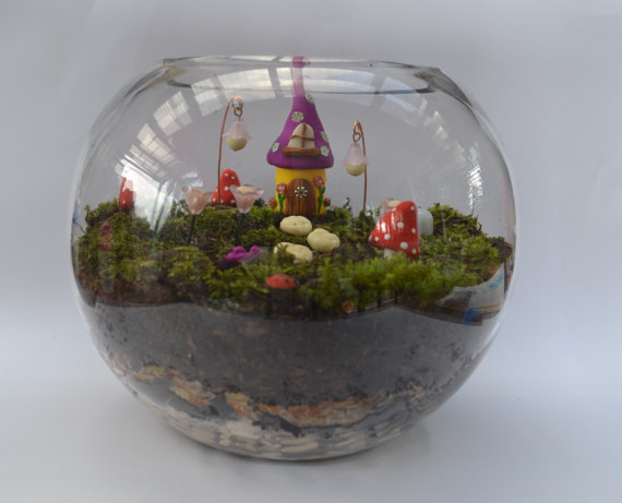 Don't have a place for a Fairy Garden outside? Why not make it inside! Love this idea!