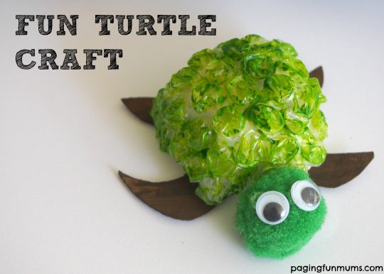 Fun Turtle Craft