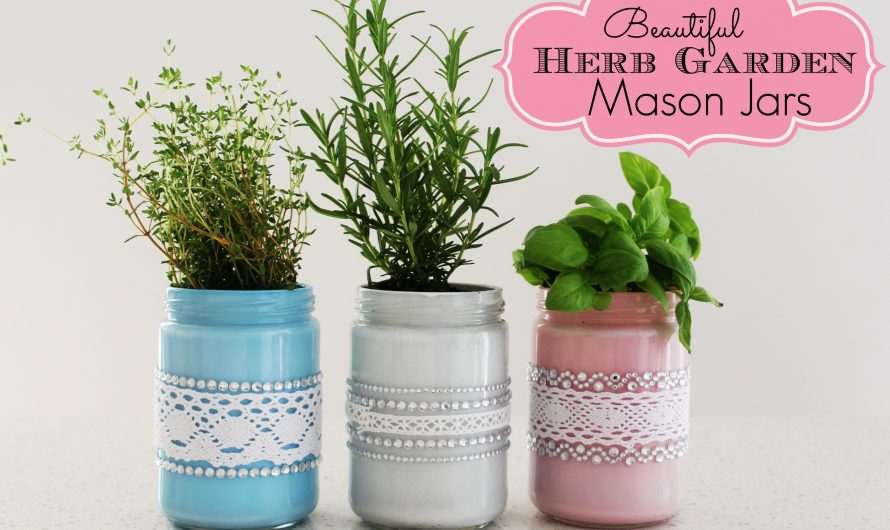 Beautiful Herb Garden Mason Jars