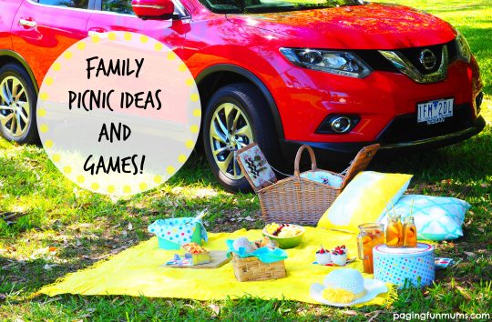 Family Picnic Ideas and Games! 