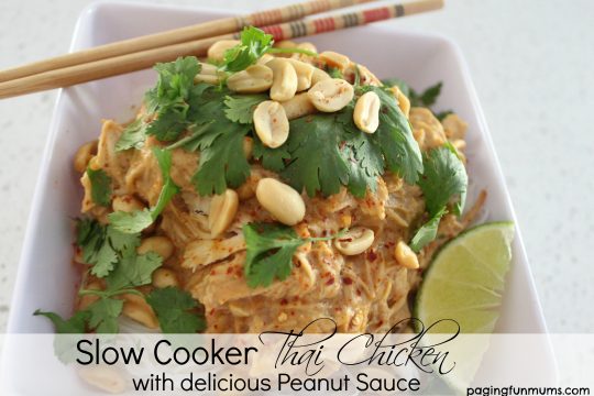 Slow Cooker Thai Chicken with delicious Peanut Sauce