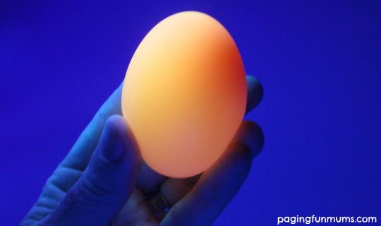 Glowing Egg Experiment