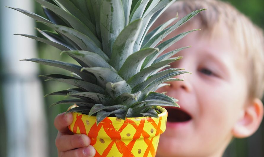Kid Made Pineapple Planters