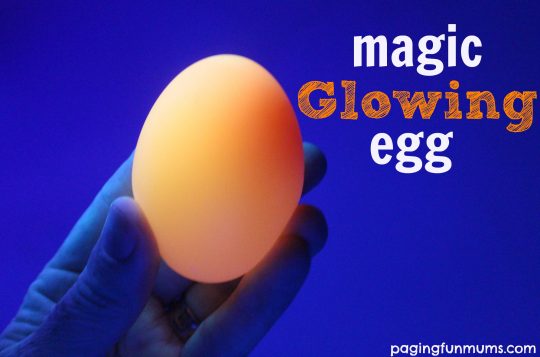 Magic Glowing Egg