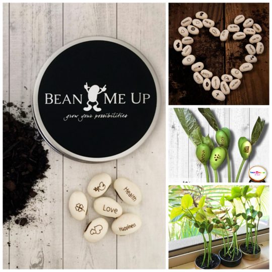 Unique gift idea! Grow your own beautiful messages from these amazing beans.