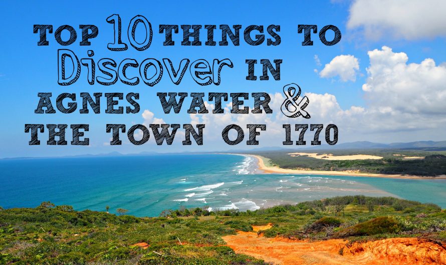 Why Agnes Water and The Town Of 1770 is the perfect place for a family holiday!